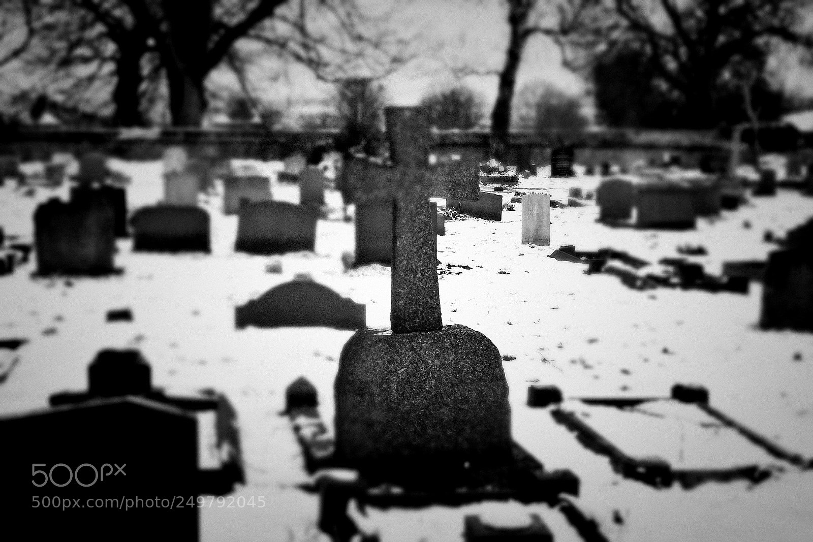 Nikon D3400 sample photo. Stone cold photography