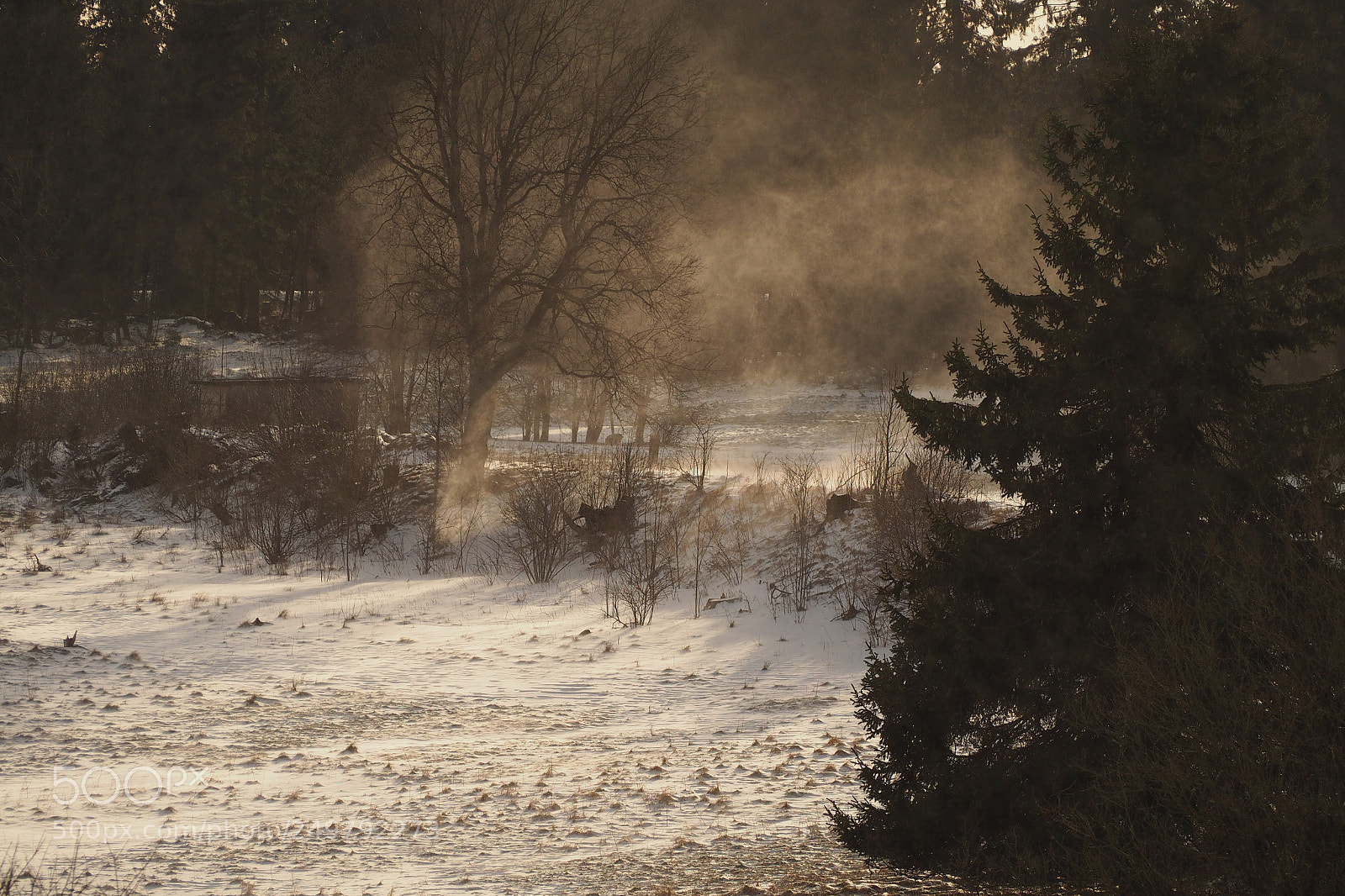 Olympus OM-D E-M10 sample photo. Drifting photography