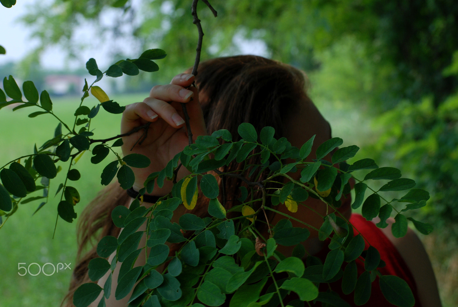 Nikon D80 sample photo. Ju photography