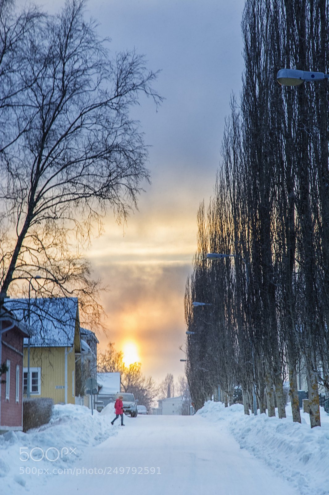 Nikon D5200 sample photo. The afternoon light in photography