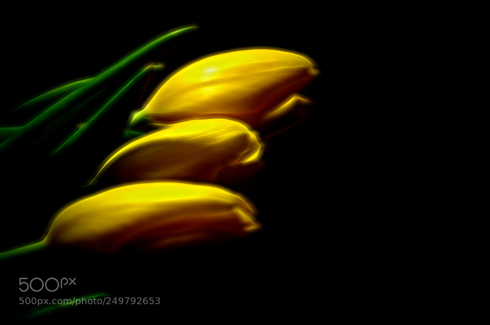 Nikon D7000 sample photo. Yellow in three photography