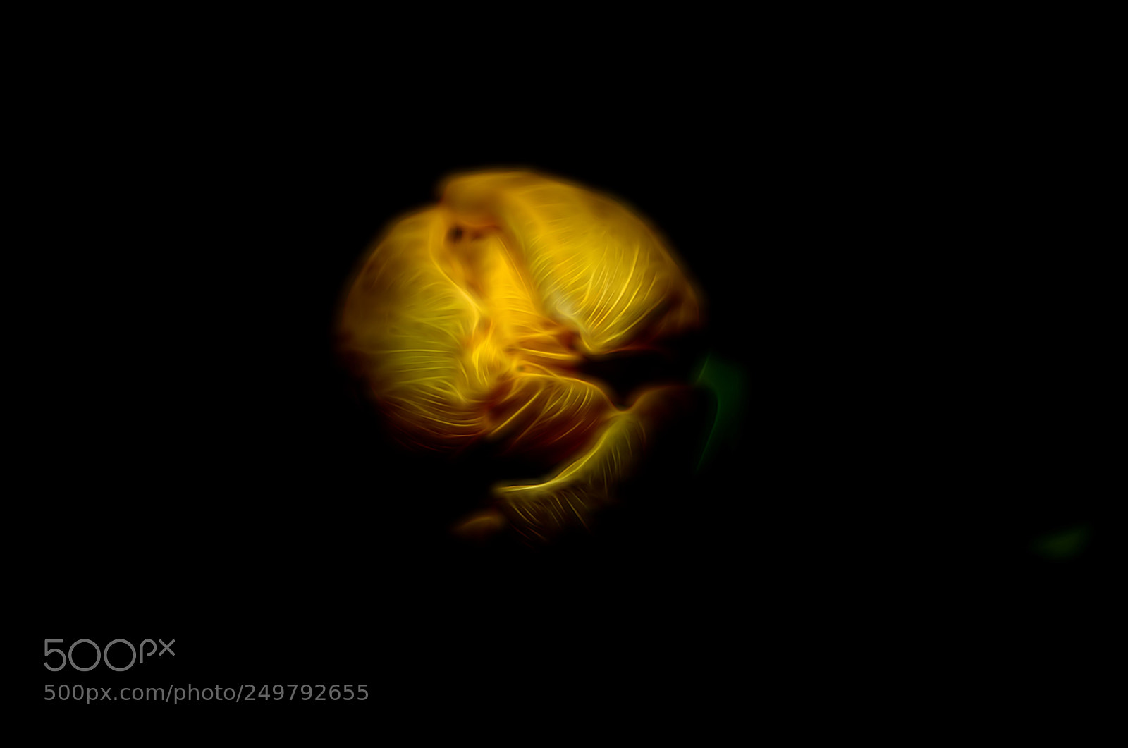Nikon D7000 sample photo. Yellow in the dark photography