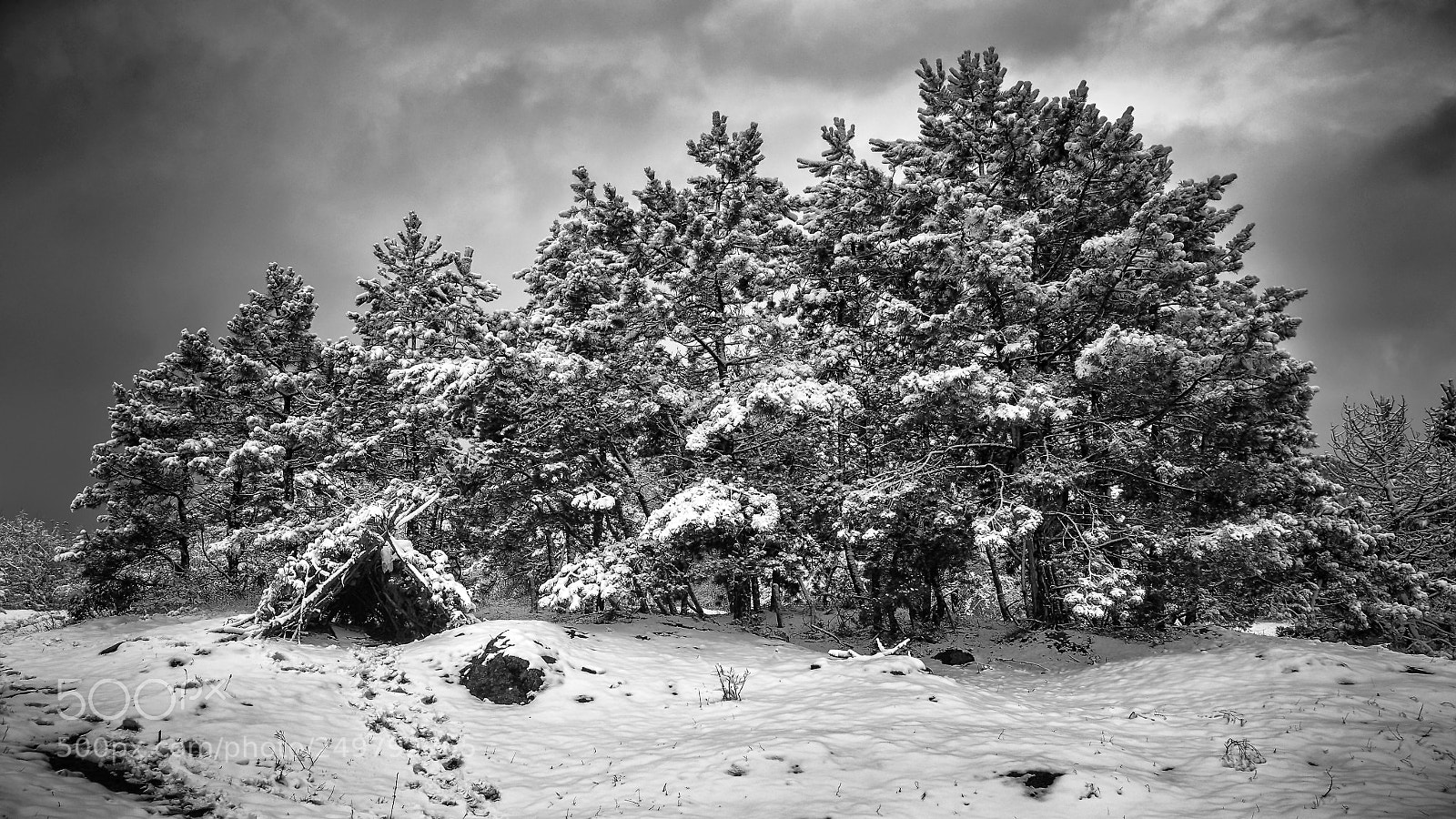 Nikon D7000 sample photo. Winter hut photography