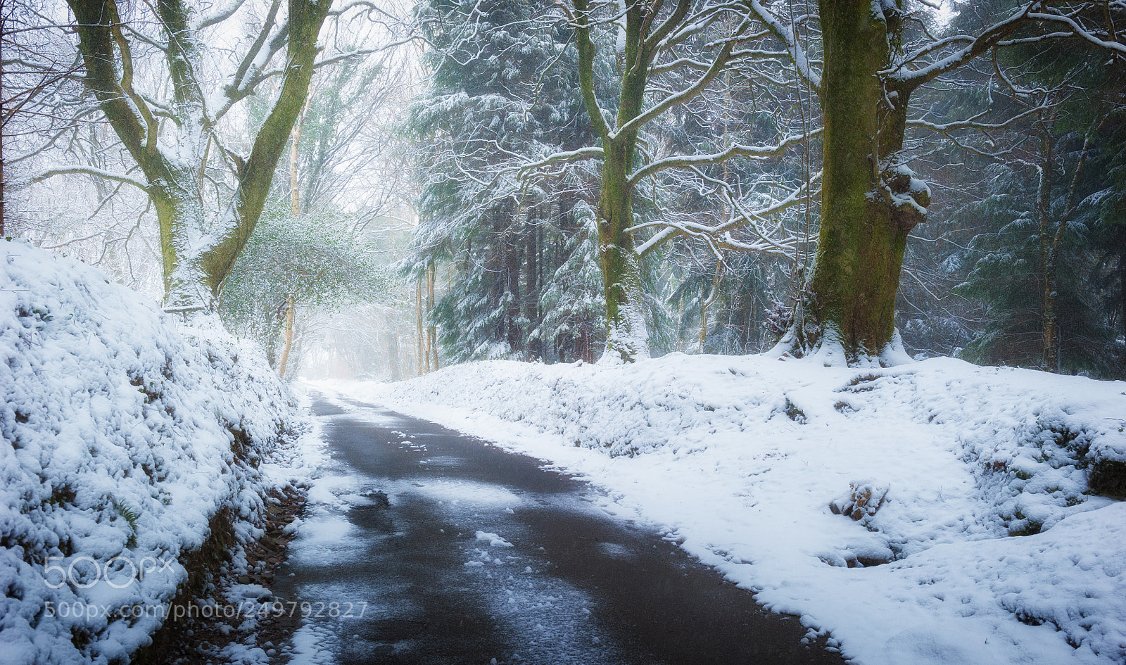 Nikon D700 sample photo. Snowy lane, south wales photography