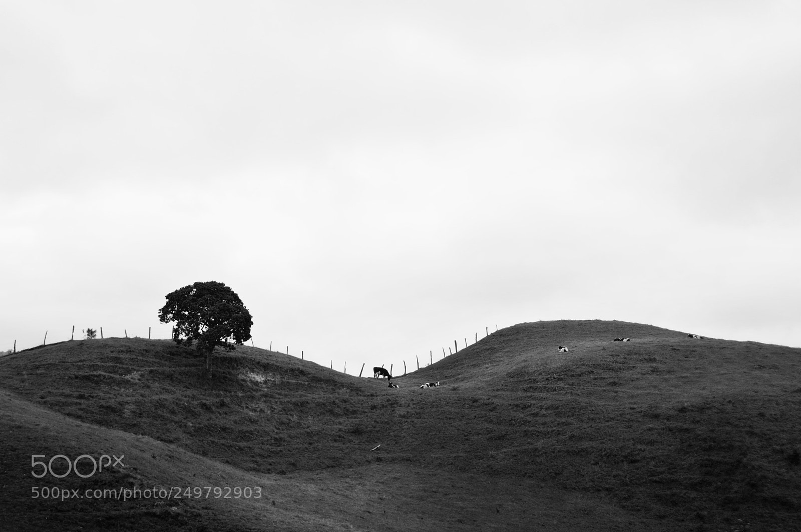 Nikon D3200 sample photo. Rural landscape photography