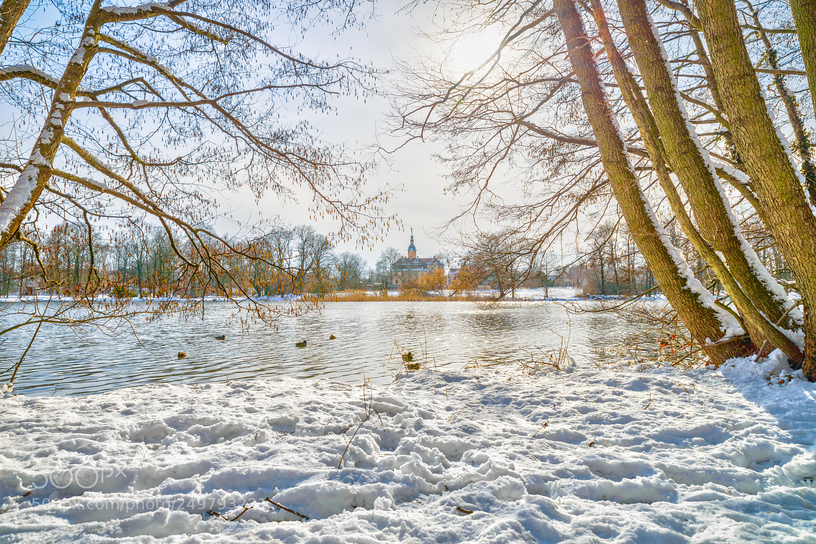 Nikon D800 sample photo. Schloss machern winter 2018 photography