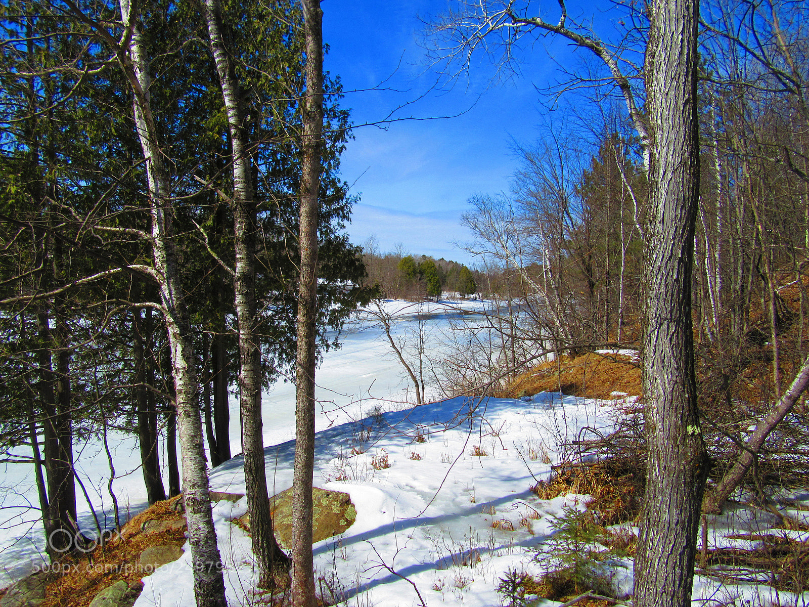 Canon PowerShot SX610 HS sample photo. Winter landscape photography