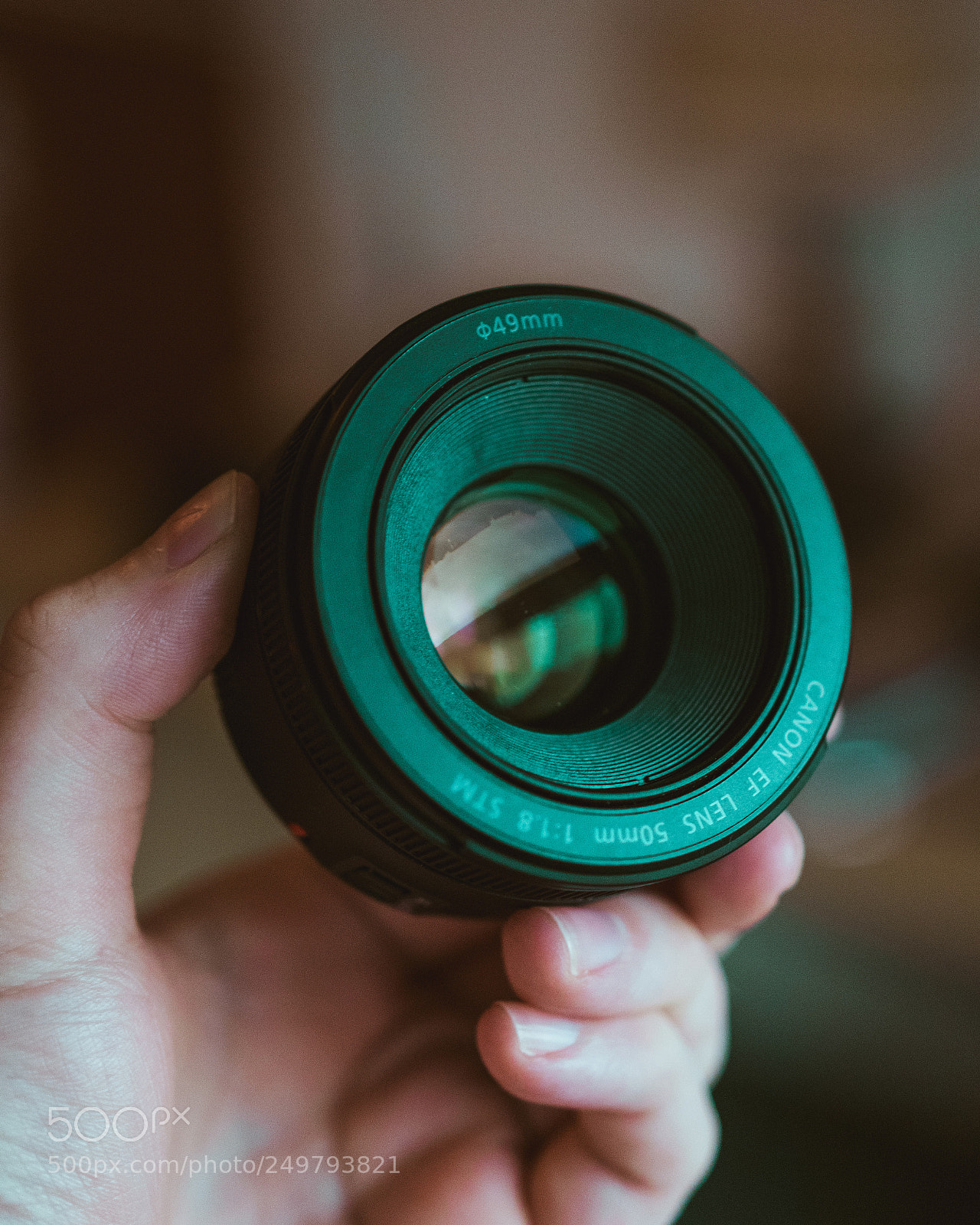 Canon EOS 80D sample photo. 50mm canon lens photography