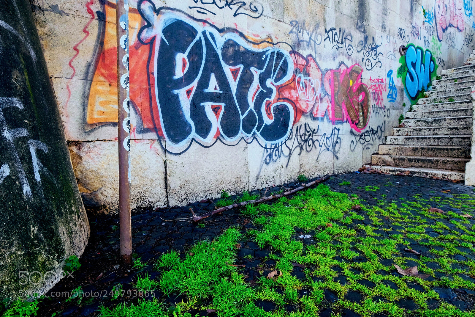 Fujifilm X-E2 sample photo. Pate  photography