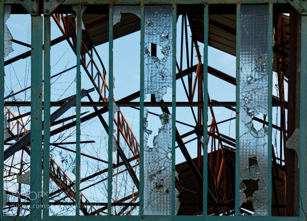 Canon EOS 70D sample photo. Lattice photography