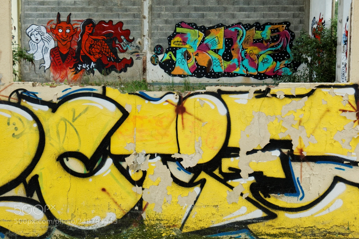Canon EOS 70D sample photo. Tag photography