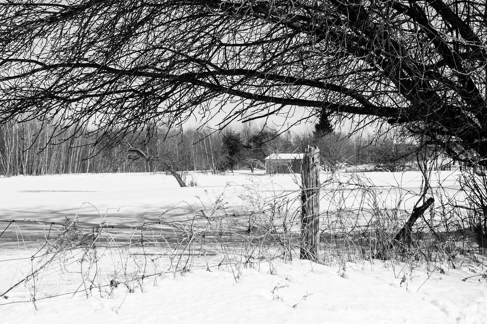 Canon EOS 80D sample photo. Untitled photography