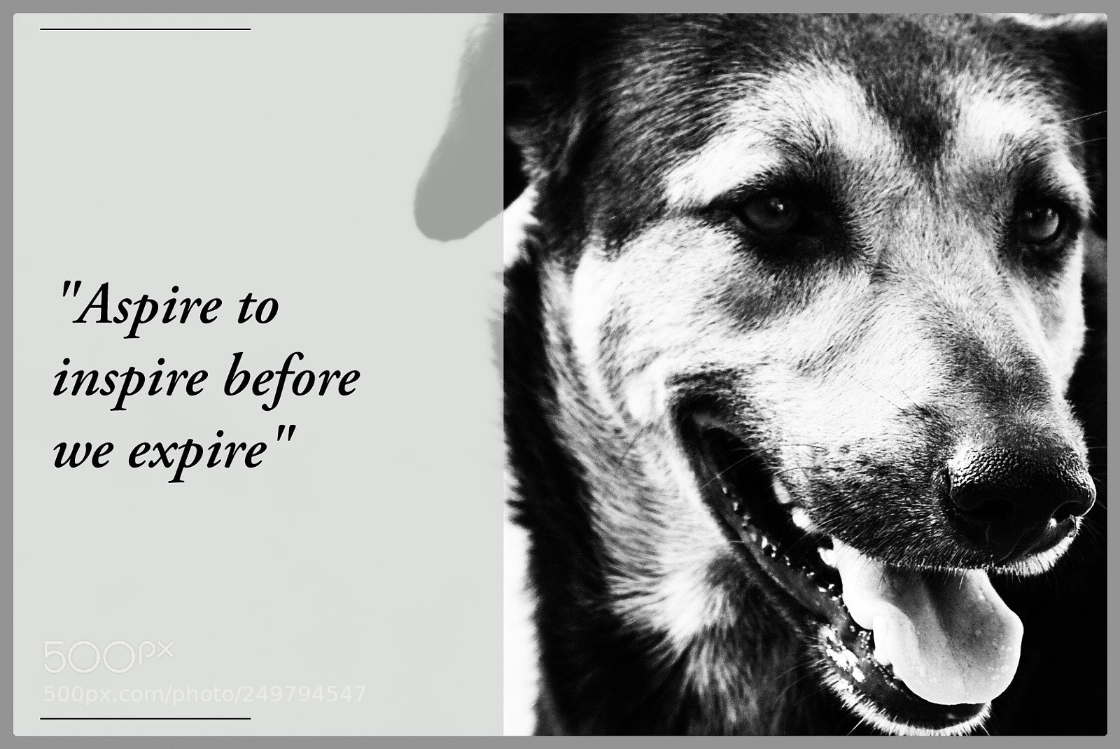 Nikon D5200 sample photo. A message from a photography