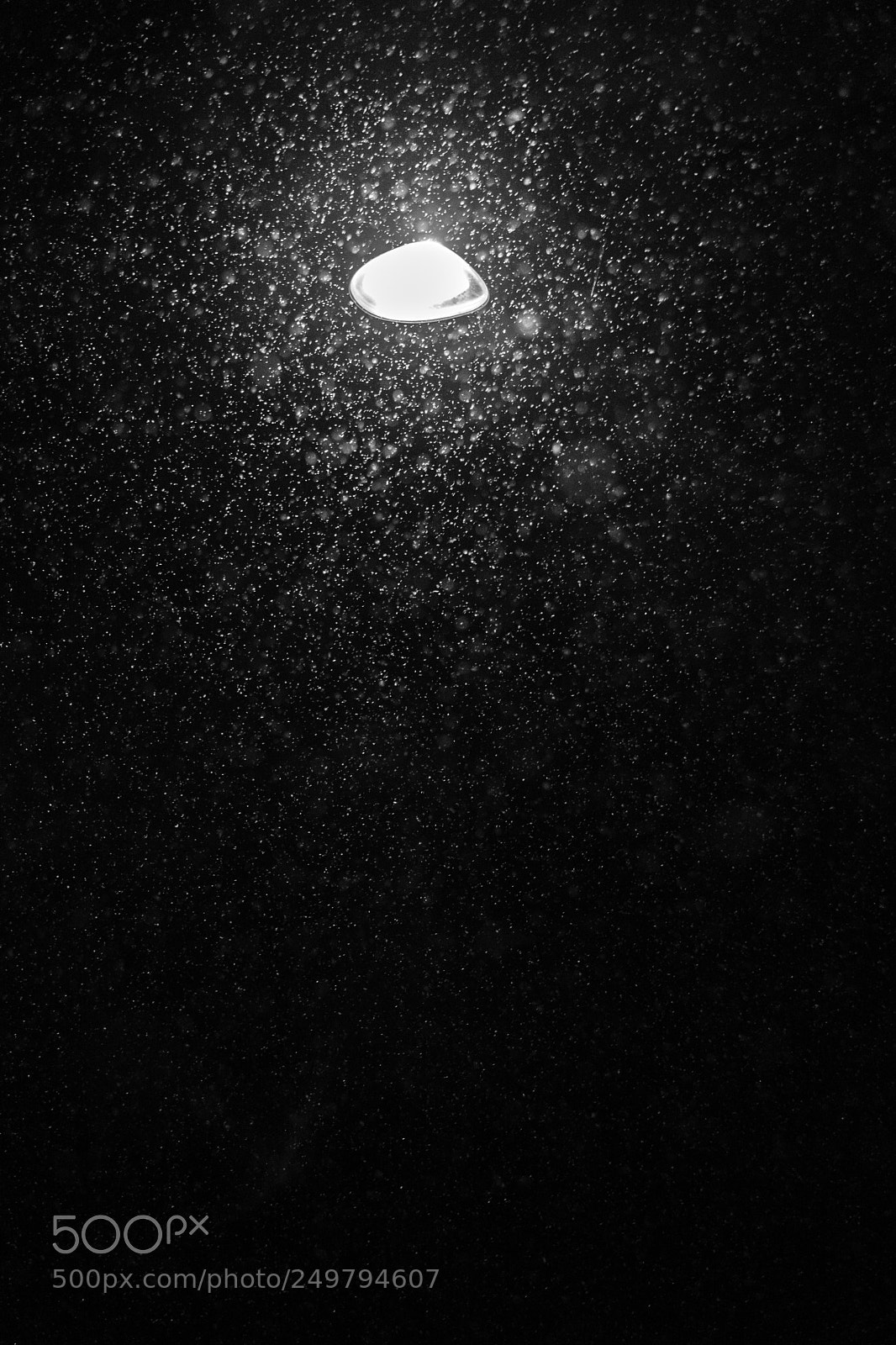 Sony a6300 sample photo. Snowy evening  photography