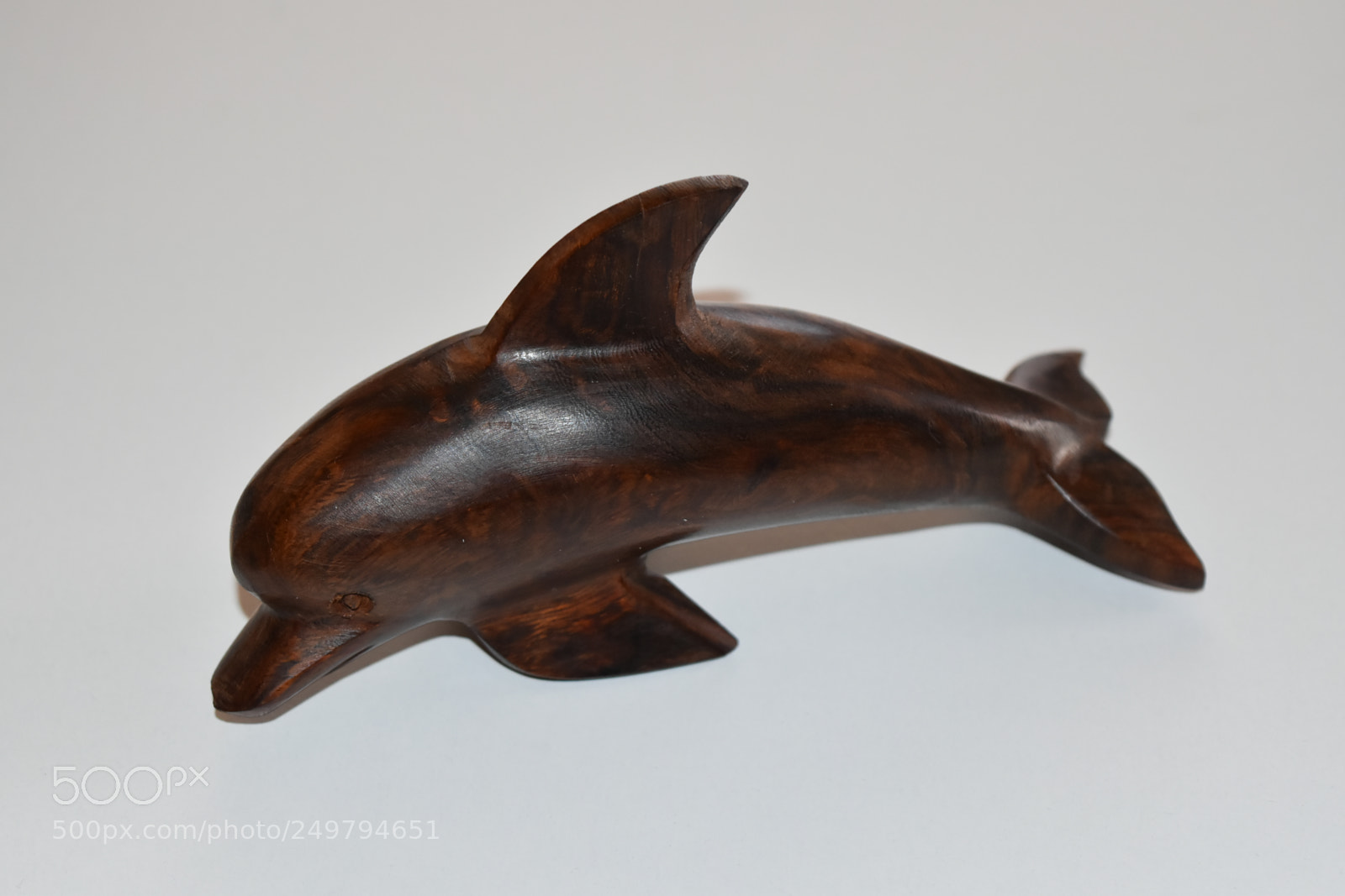 Nikon D5500 sample photo. Dolphin photography