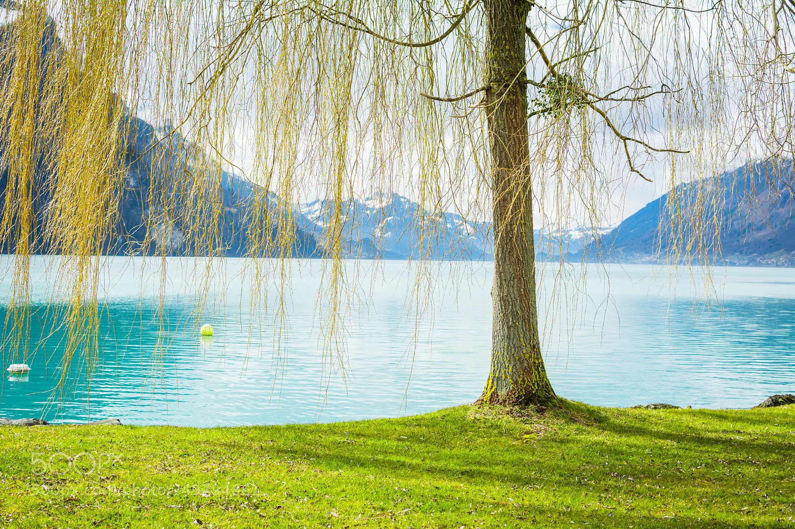 Nikon D7100 sample photo. By lake brienz ! photography