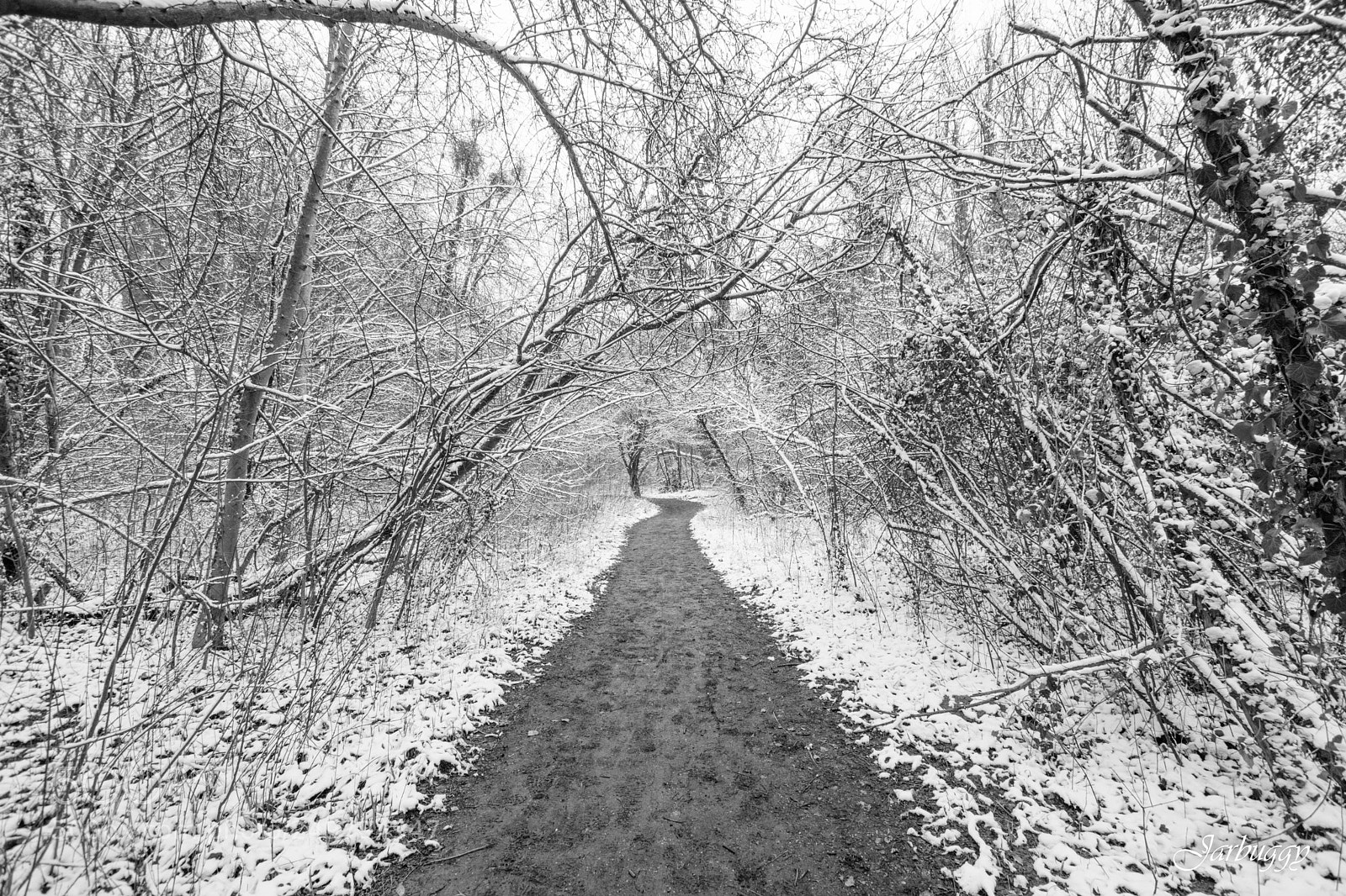 Nikon D7100 sample photo. On the way to photography