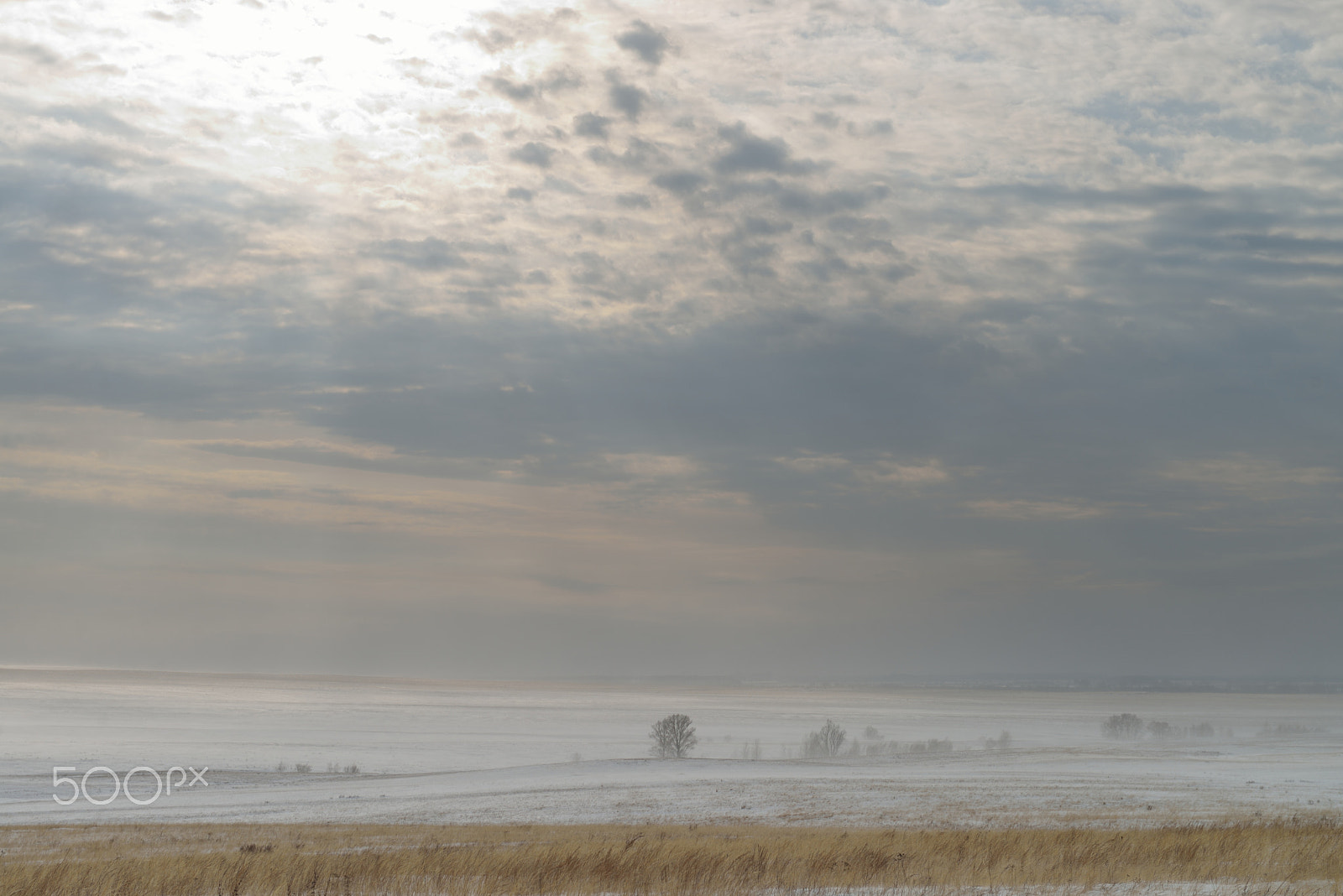 Nikon AF-S Nikkor 24-70mm F2.8G ED sample photo. Long winter in the steppe photography