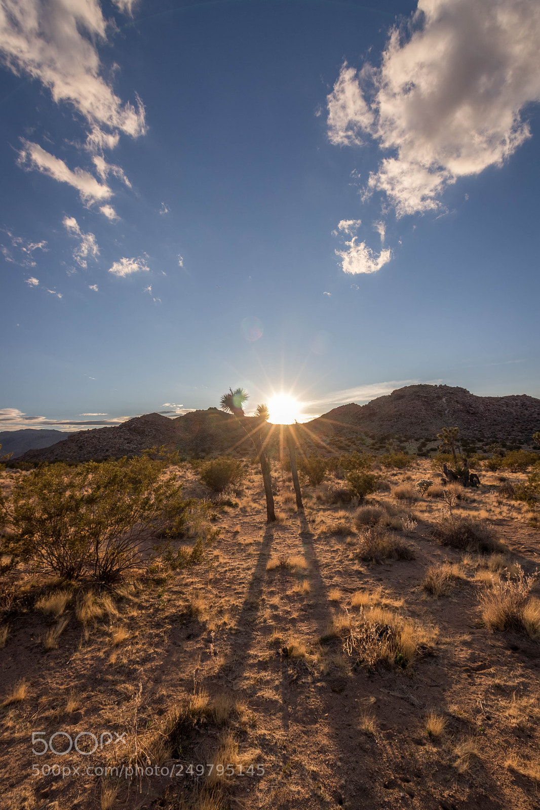 Canon EOS 80D sample photo. Desert sunset photography