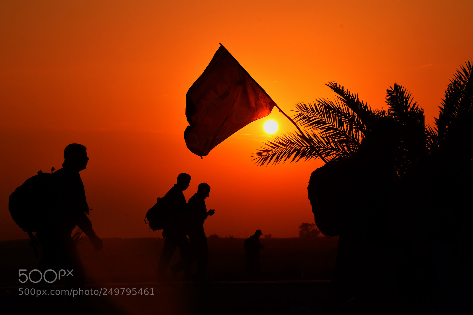 Nikon D5600 sample photo. Arbaeen walking photography