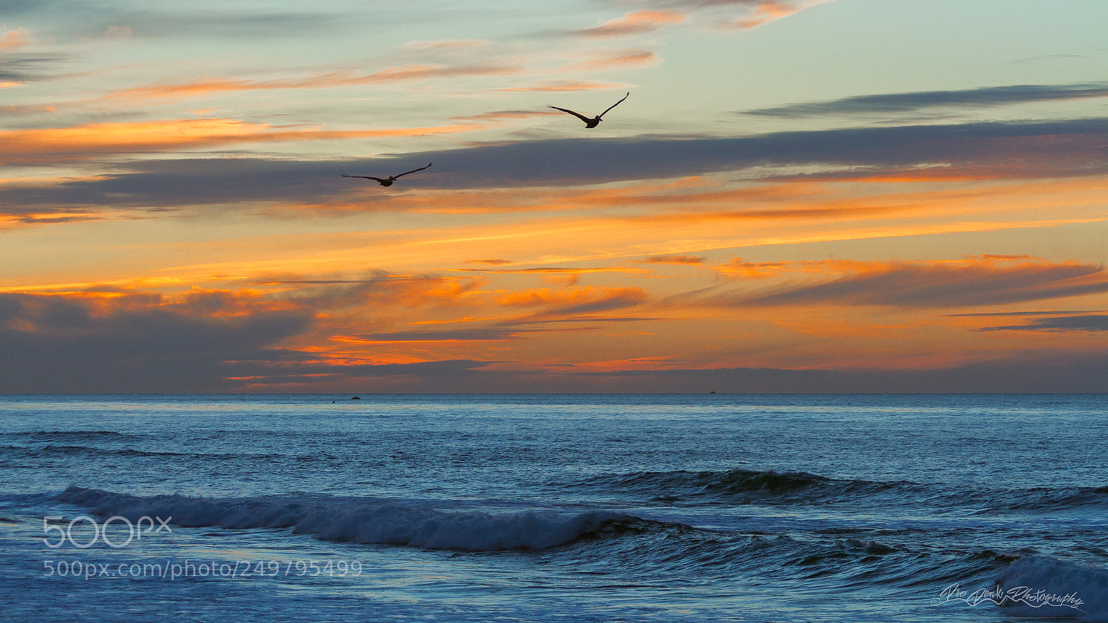 Canon EOS 7D sample photo. Sunset flight photography