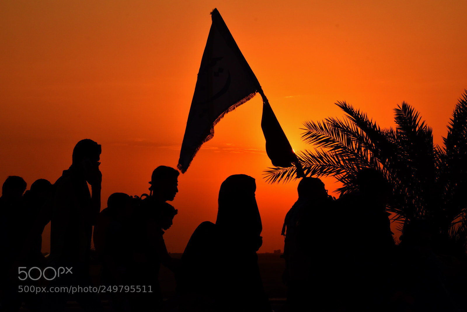 Nikon D5600 sample photo. Arbaeen walking photography