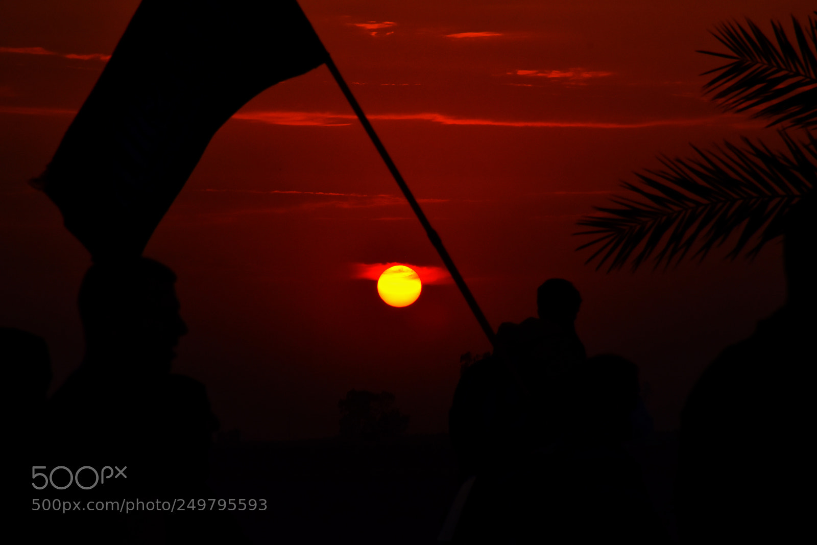Nikon D5600 sample photo. Arbaeen walkung photography