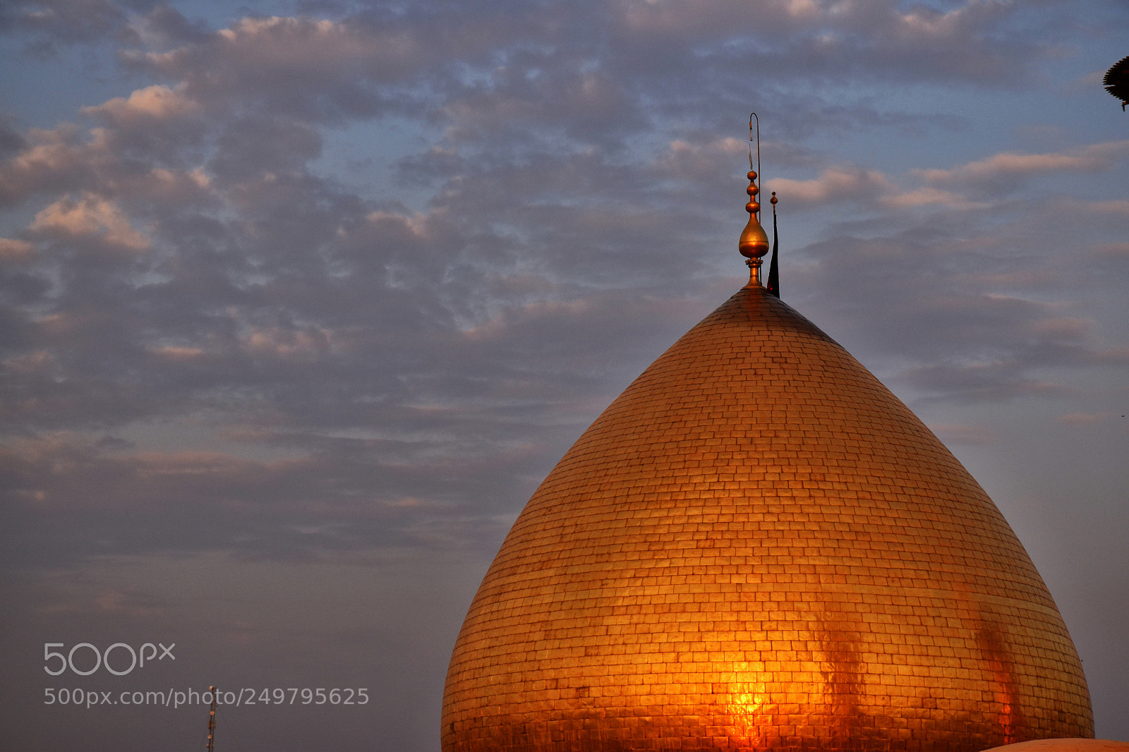 Nikon D5600 sample photo. Hazrat abbas pbuh photography