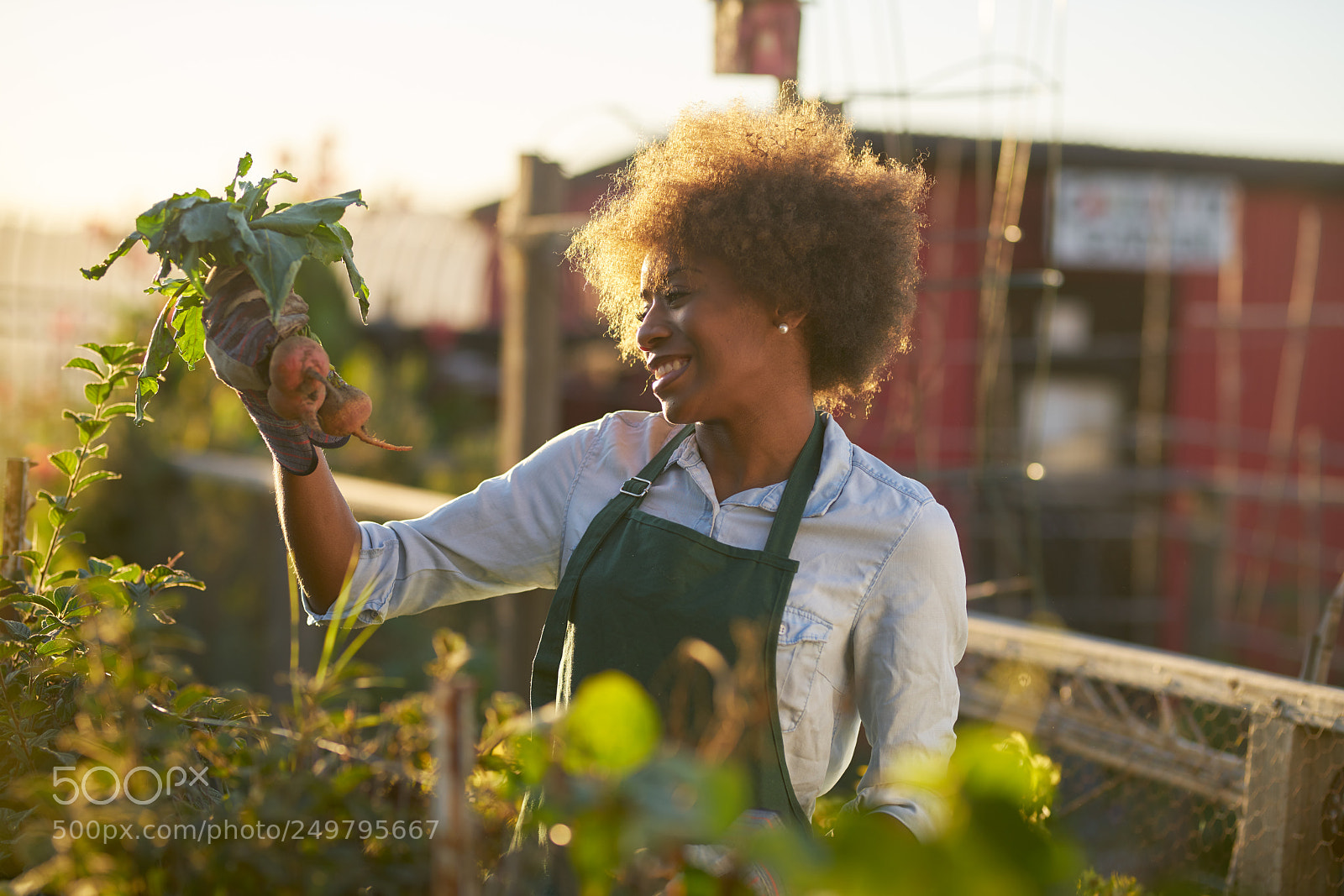 Sony a7R II sample photo. Young african american woman photography