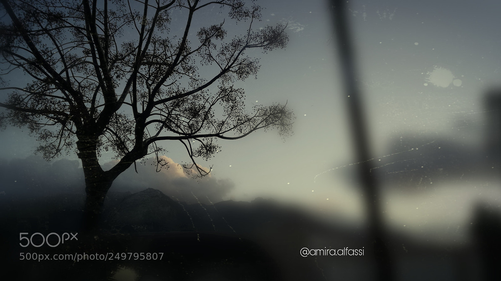 HUAWEI P9 LITE sample photo. Untitled photography