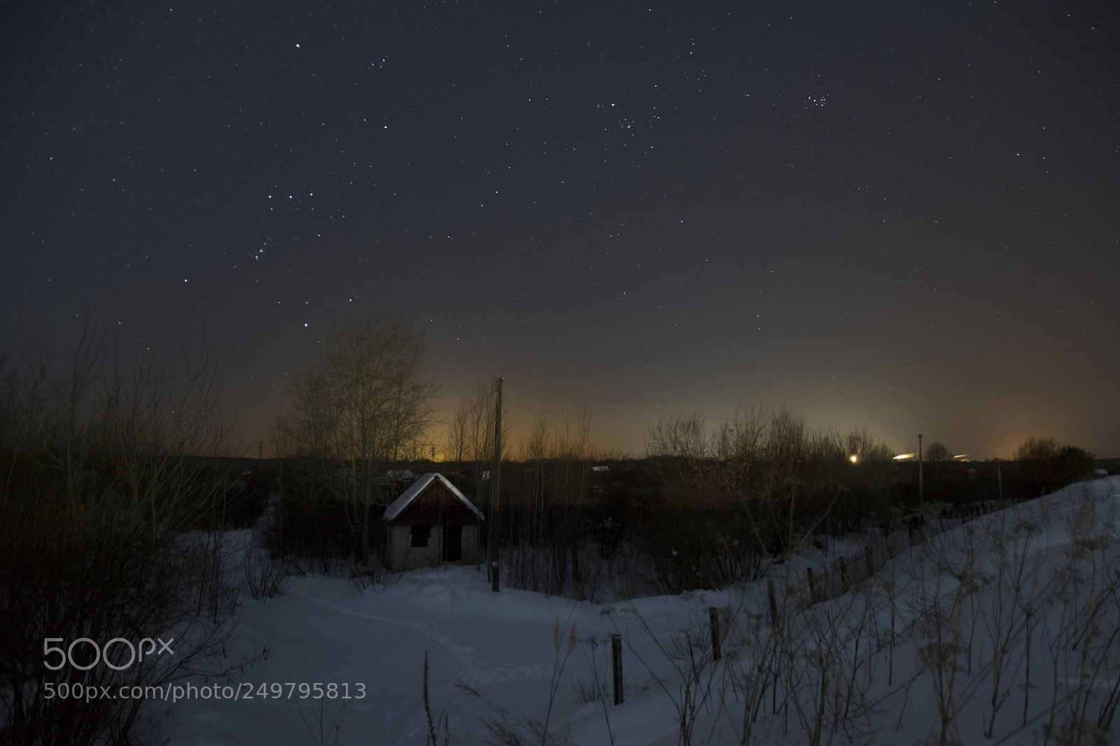Sony ILCA-77M2 sample photo. Strong russia... photography