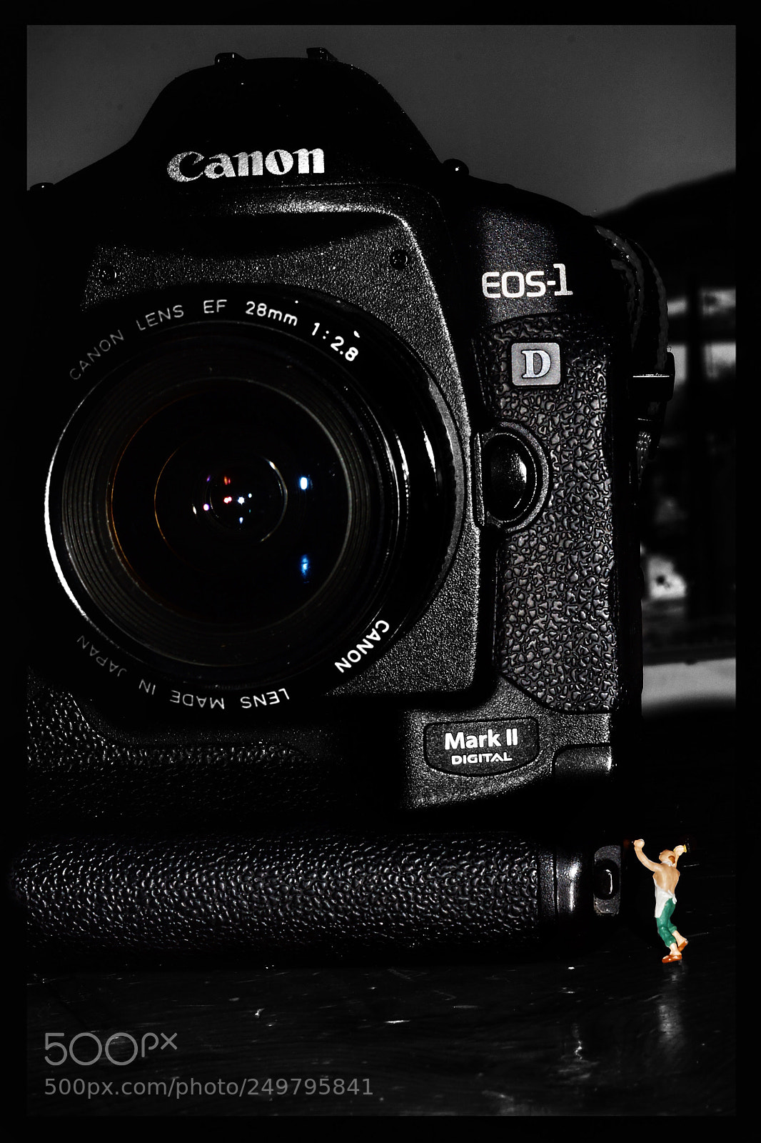 Sony SLT-A77 sample photo. Building a fortress photography