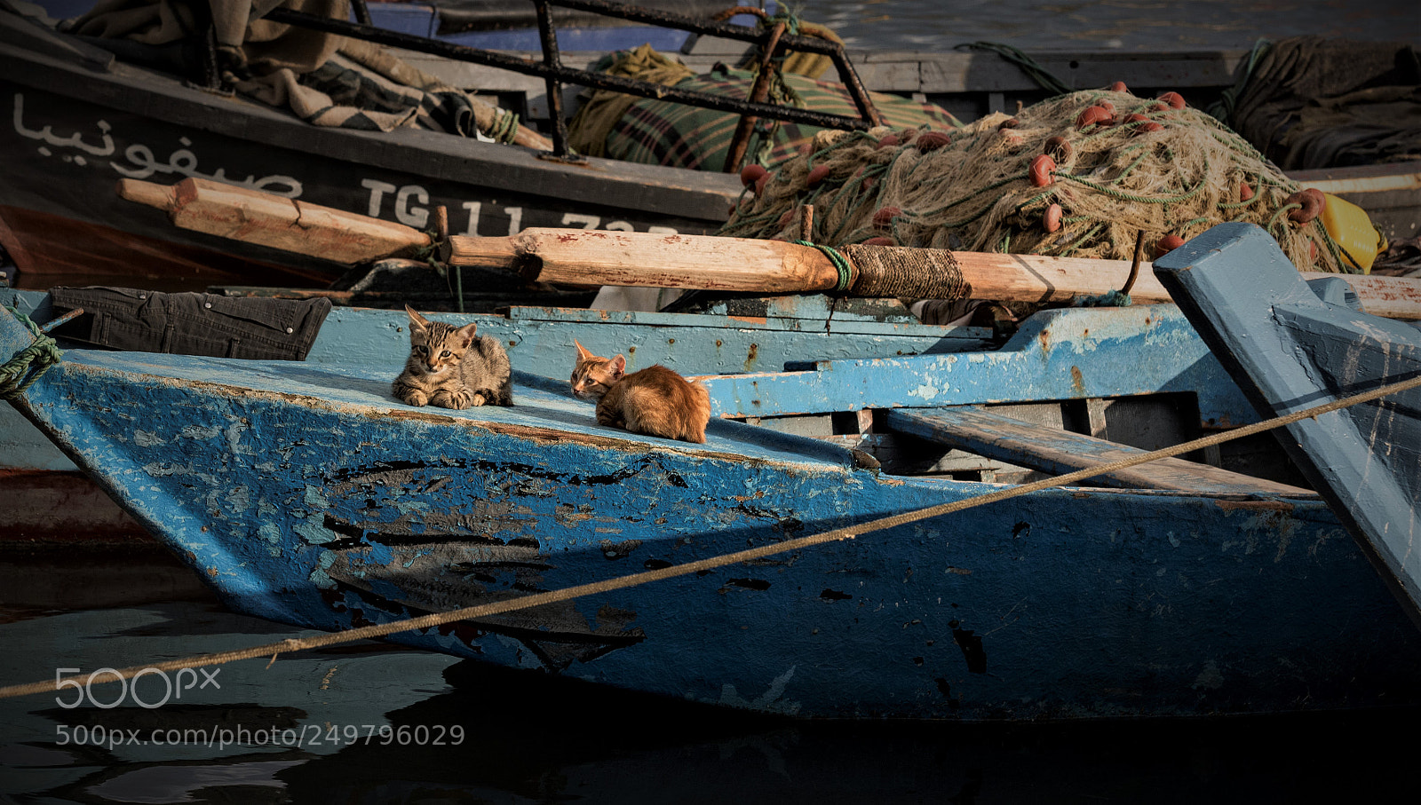 Nikon D810 sample photo. The strategic location photography