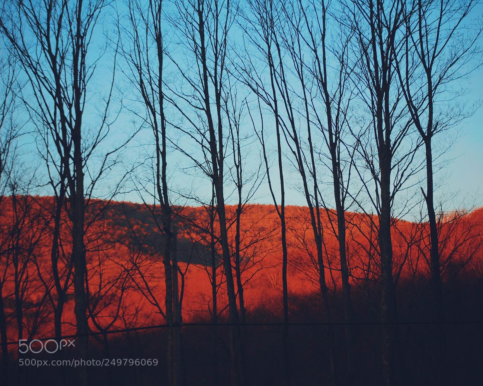 Canon EOS 1300D (EOS Rebel T6 / EOS Kiss X80) sample photo. A world on fire. photography