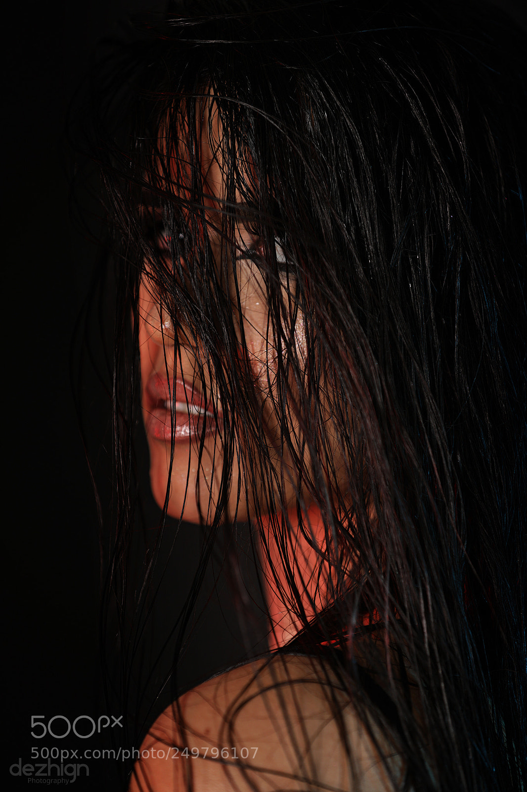 Canon EOS 5D Mark IV sample photo. In the spotlight photography
