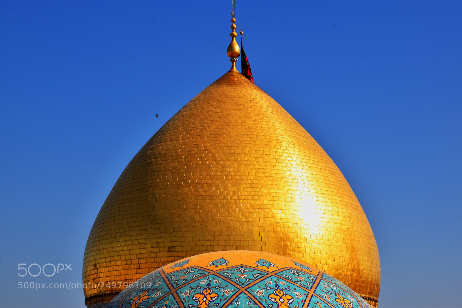 Nikon D5600 sample photo. Karbala photography