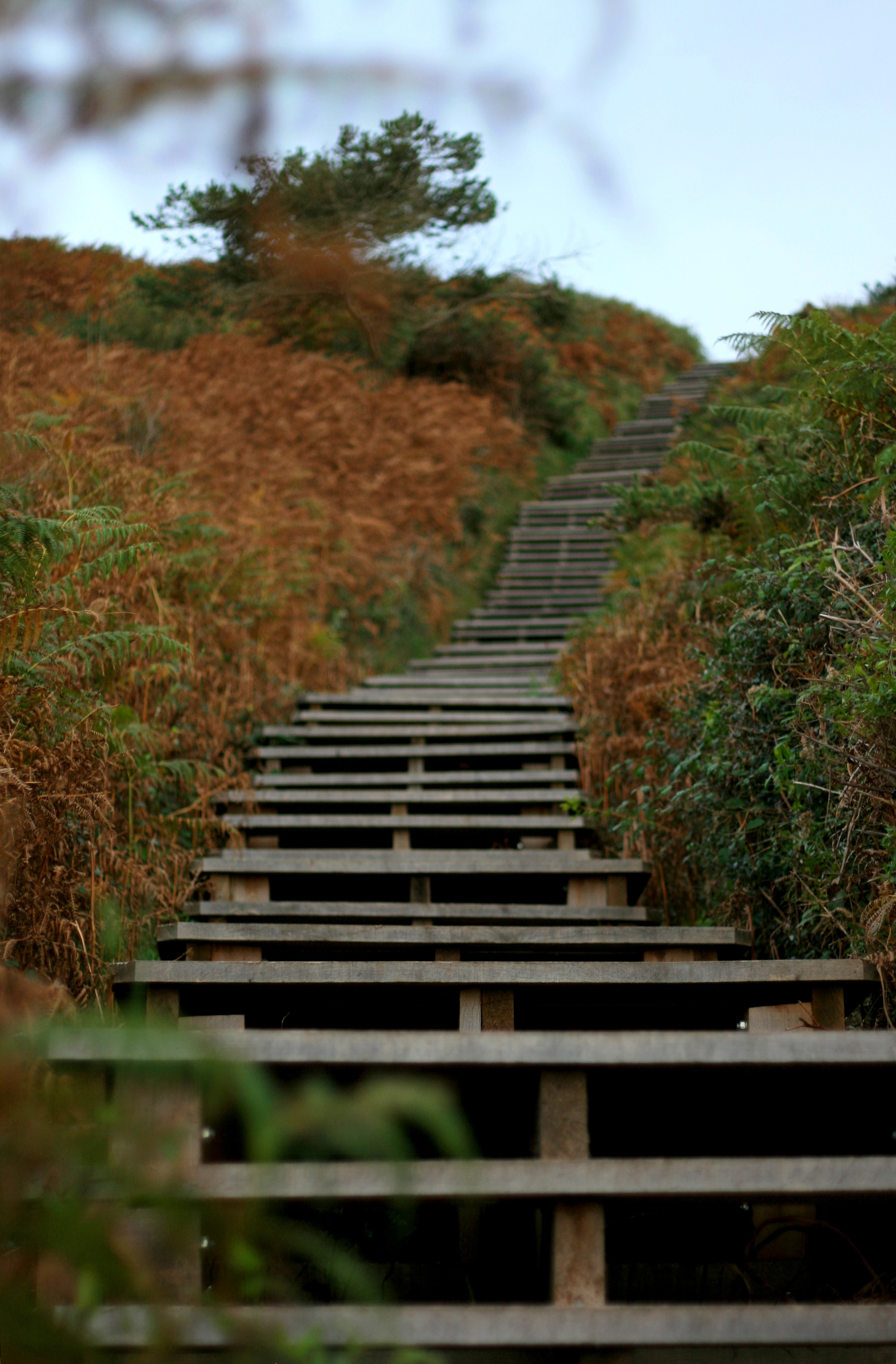 Canon EF 50mm F1.8 II sample photo. Stairs photography