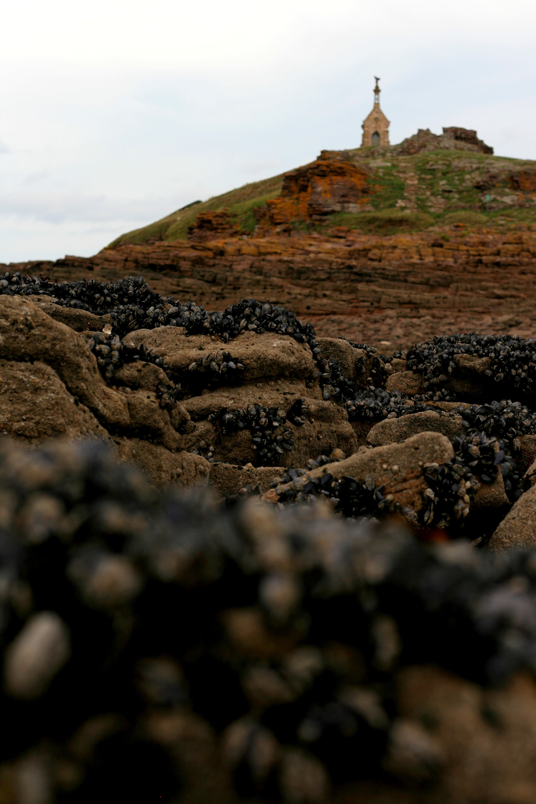 Canon EF 50mm F1.8 II sample photo. Mussel rock photography