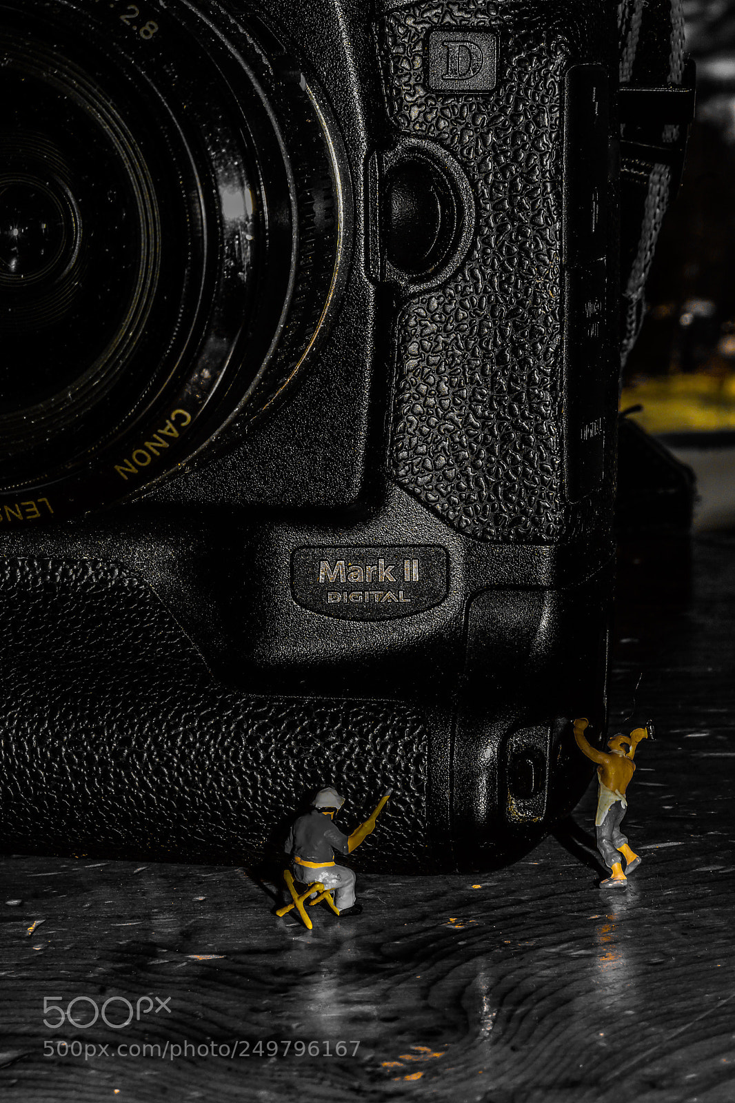 Sony SLT-A77 sample photo. Just making art photography
