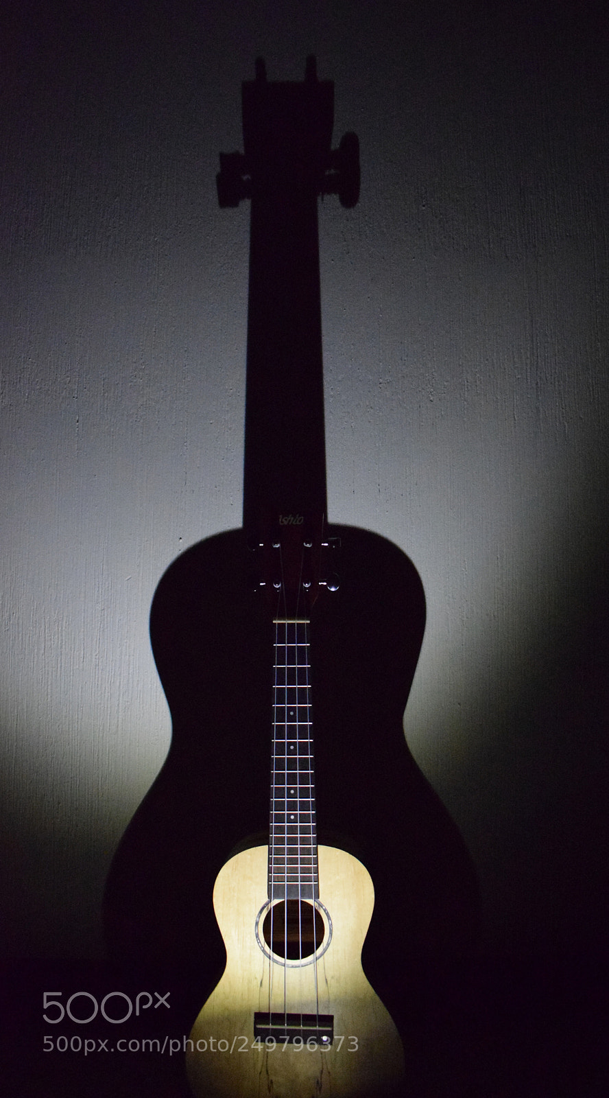 Nikon D5300 sample photo. Ukelele photography