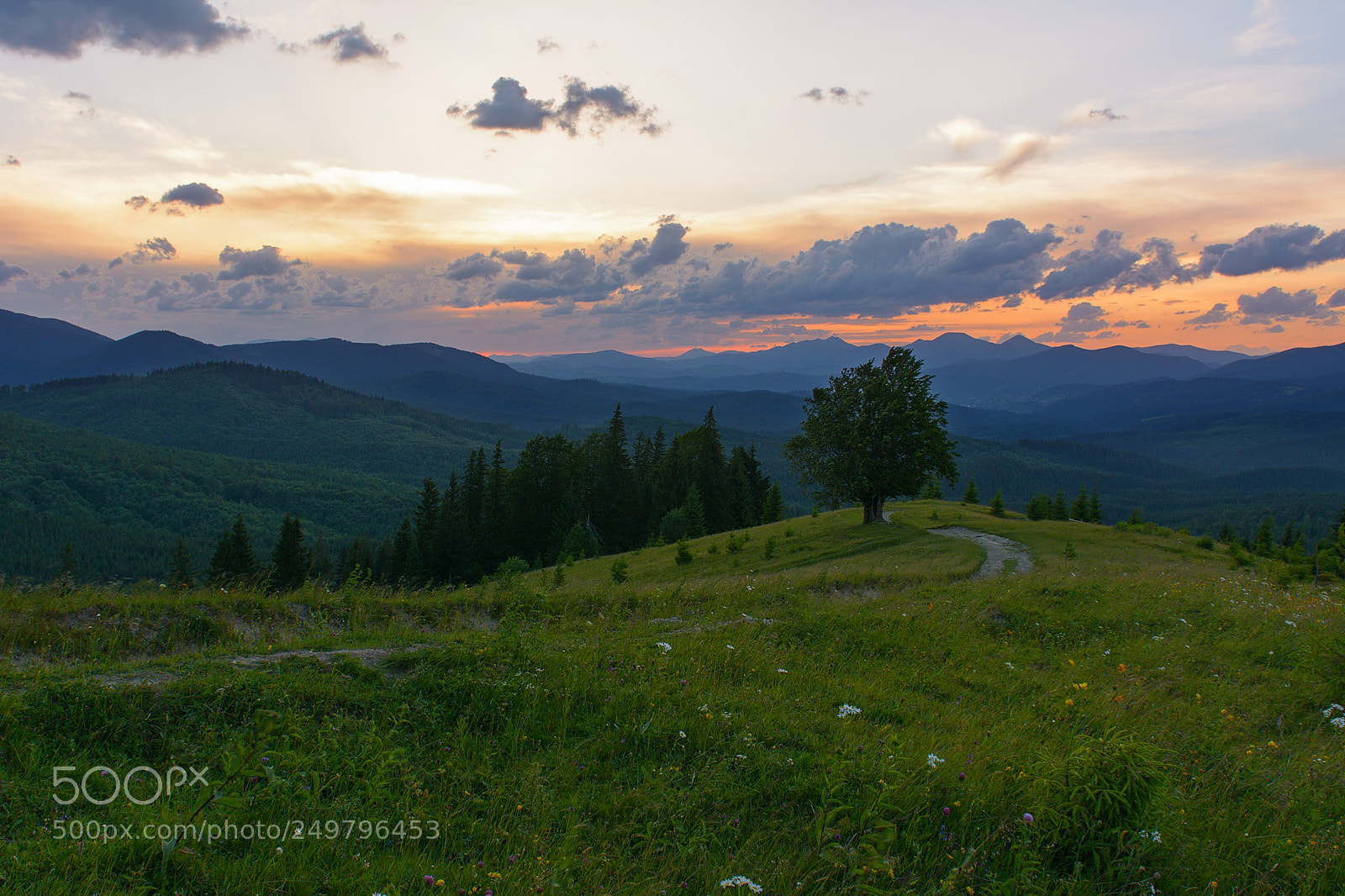 Nikon D7100 sample photo. Summer evening in the photography