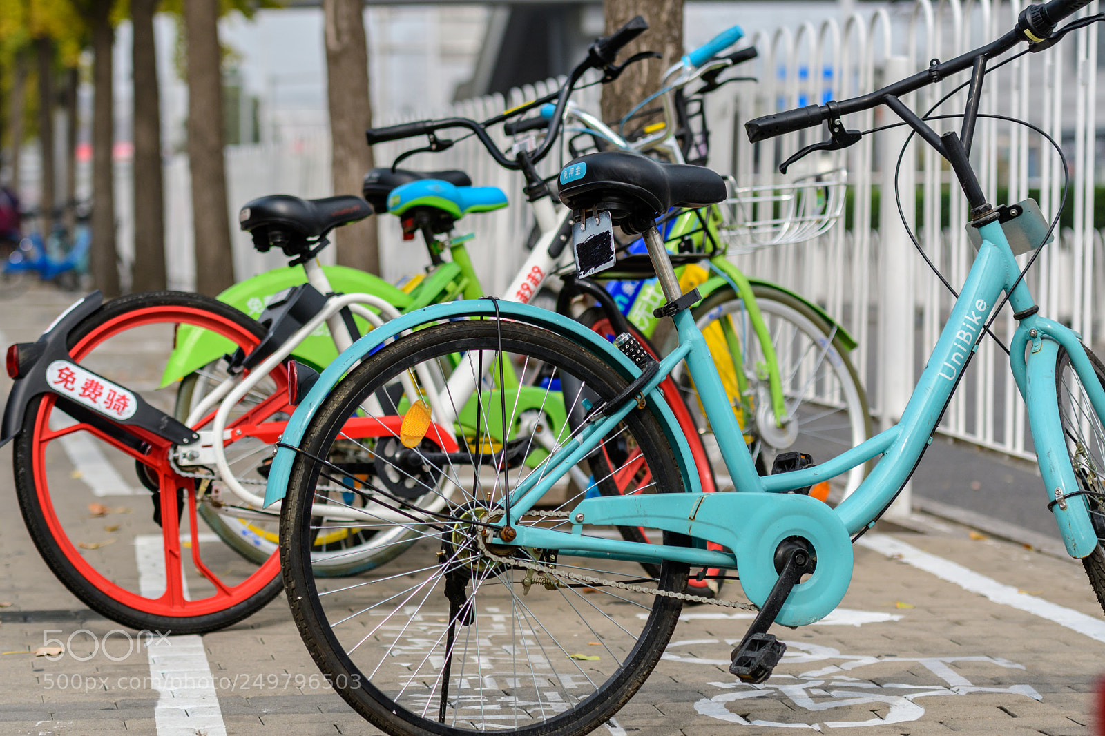 Nikon D500 sample photo. Bicycles photography