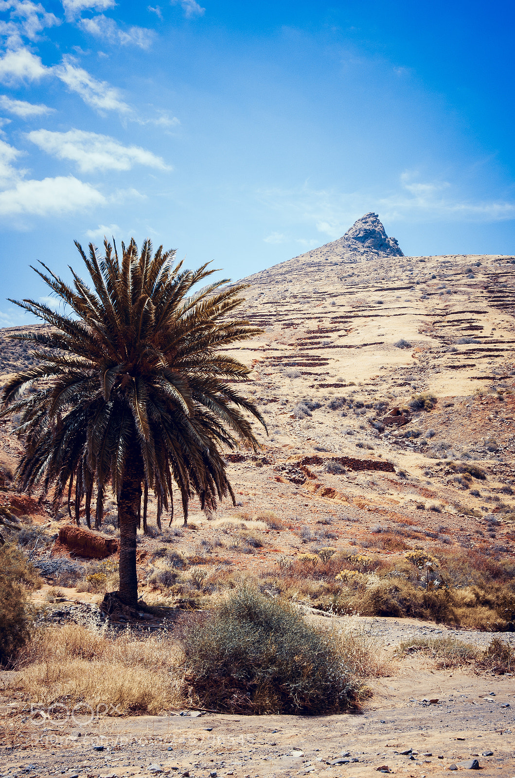 Nikon D7000 sample photo. Palme fuerteventura photography