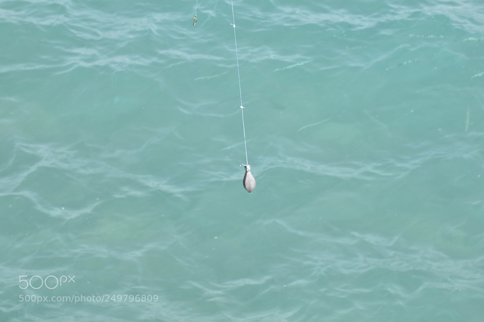 Nikon D5600 sample photo. Fishing photography
