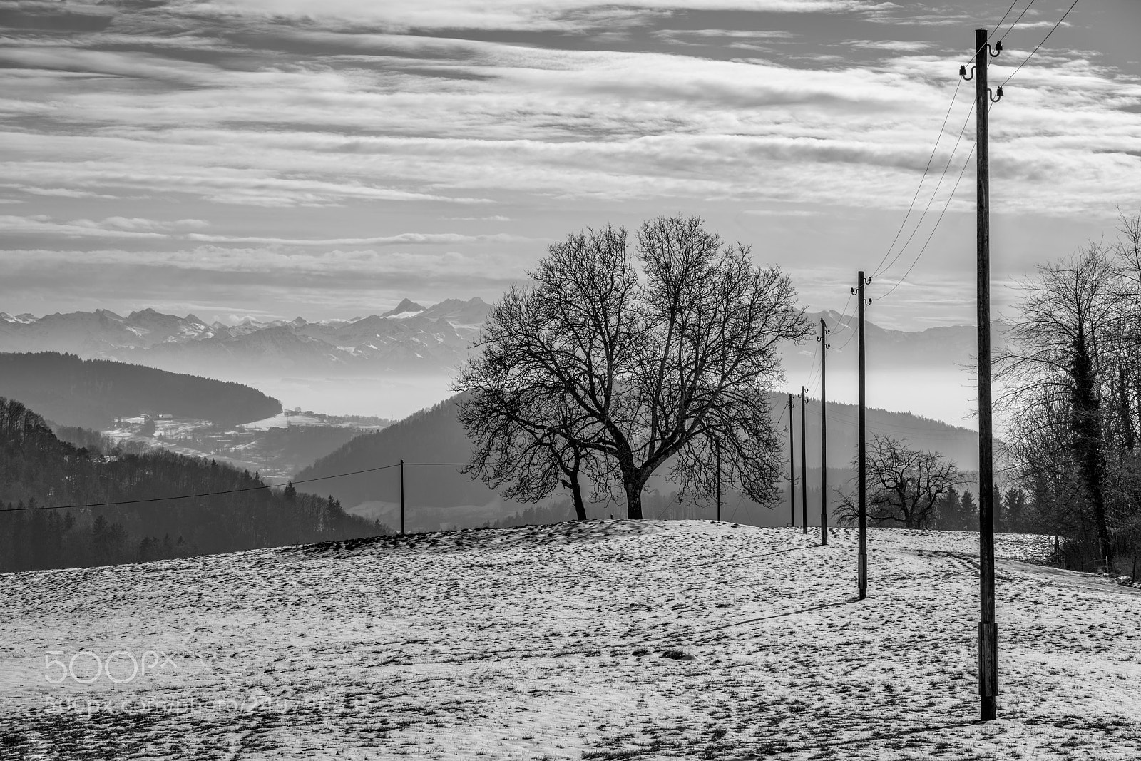 Sony a7R III sample photo. Online ... photography