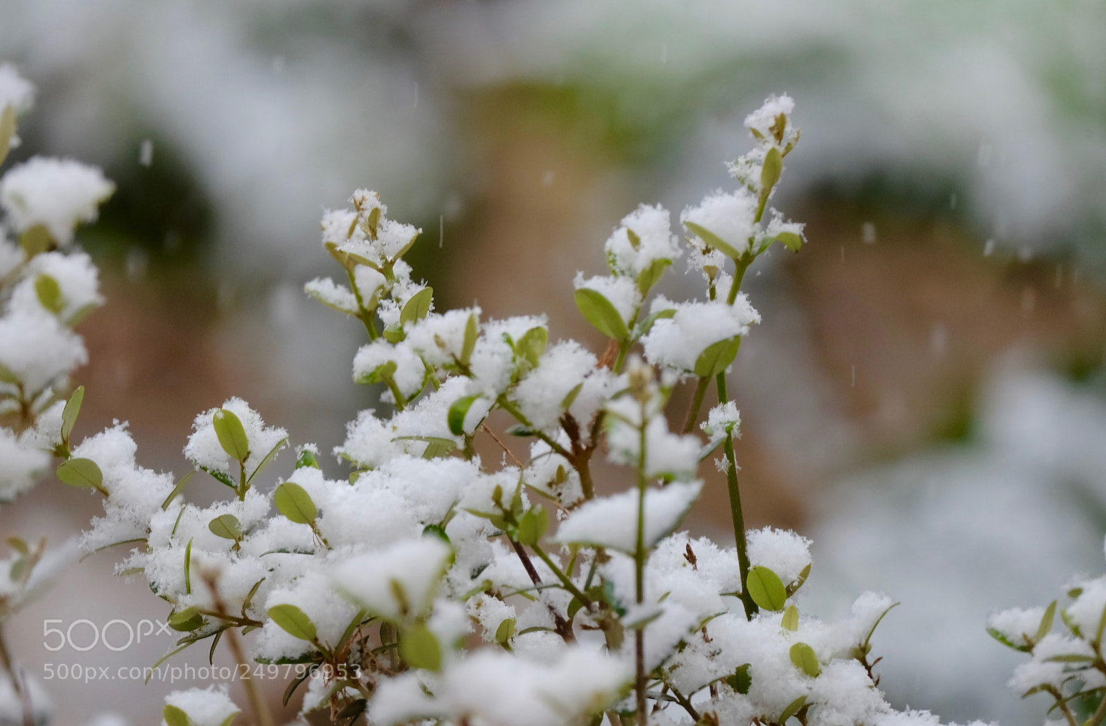 Fujifilm X-T10 sample photo. Unexpected photography
