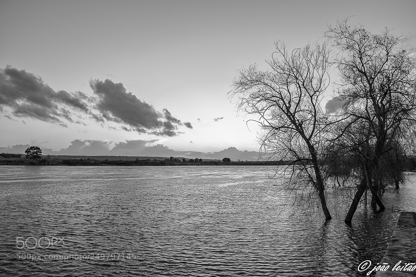 Nikon D3300 sample photo. River tejo photography