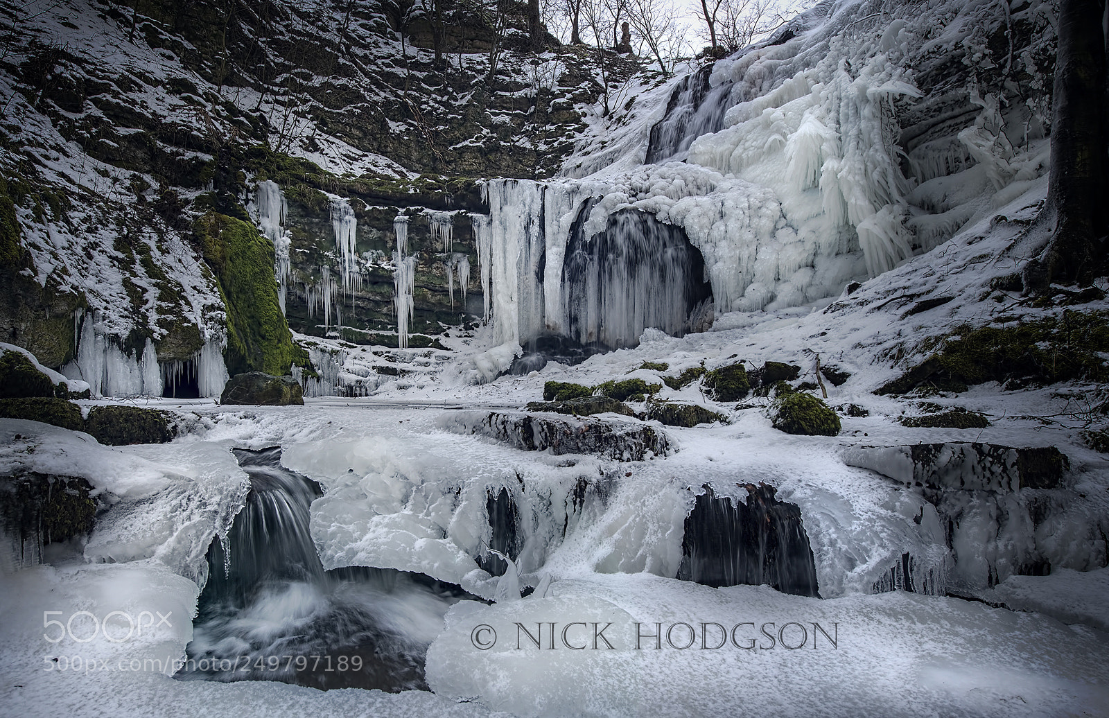 Nikon D610 sample photo. Winters magic photography