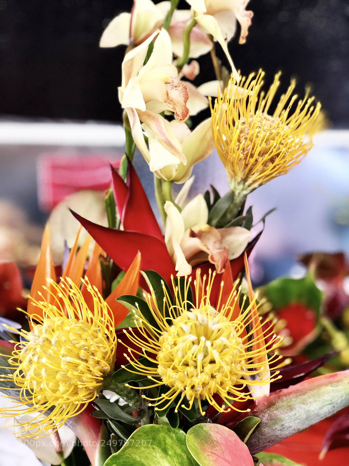 Apple iPhone X sample photo. Flowers of hawaii photography