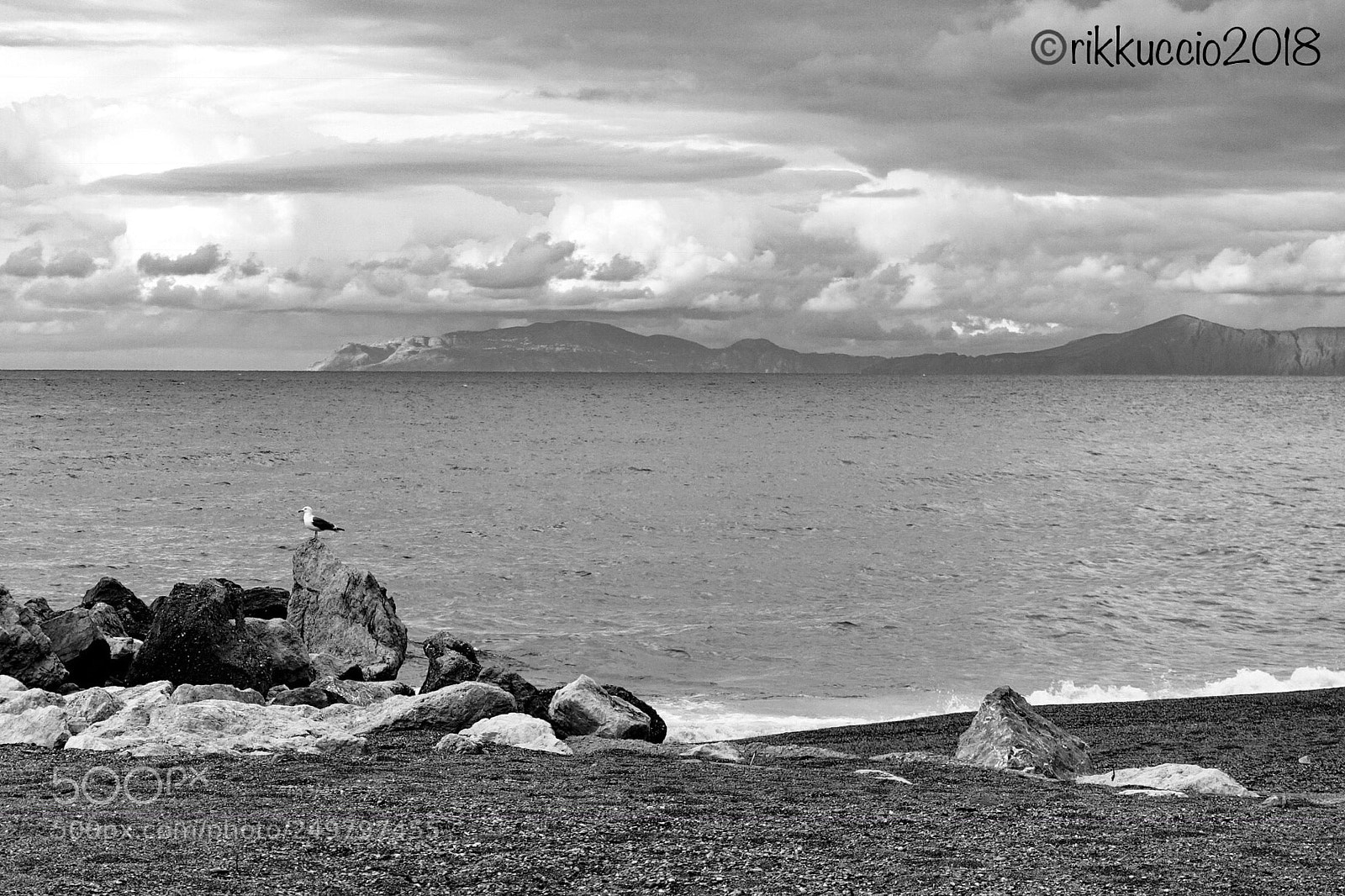 Sony Cyber-shot DSC-RX100 III sample photo. .. riposo del gabbiano .. photography